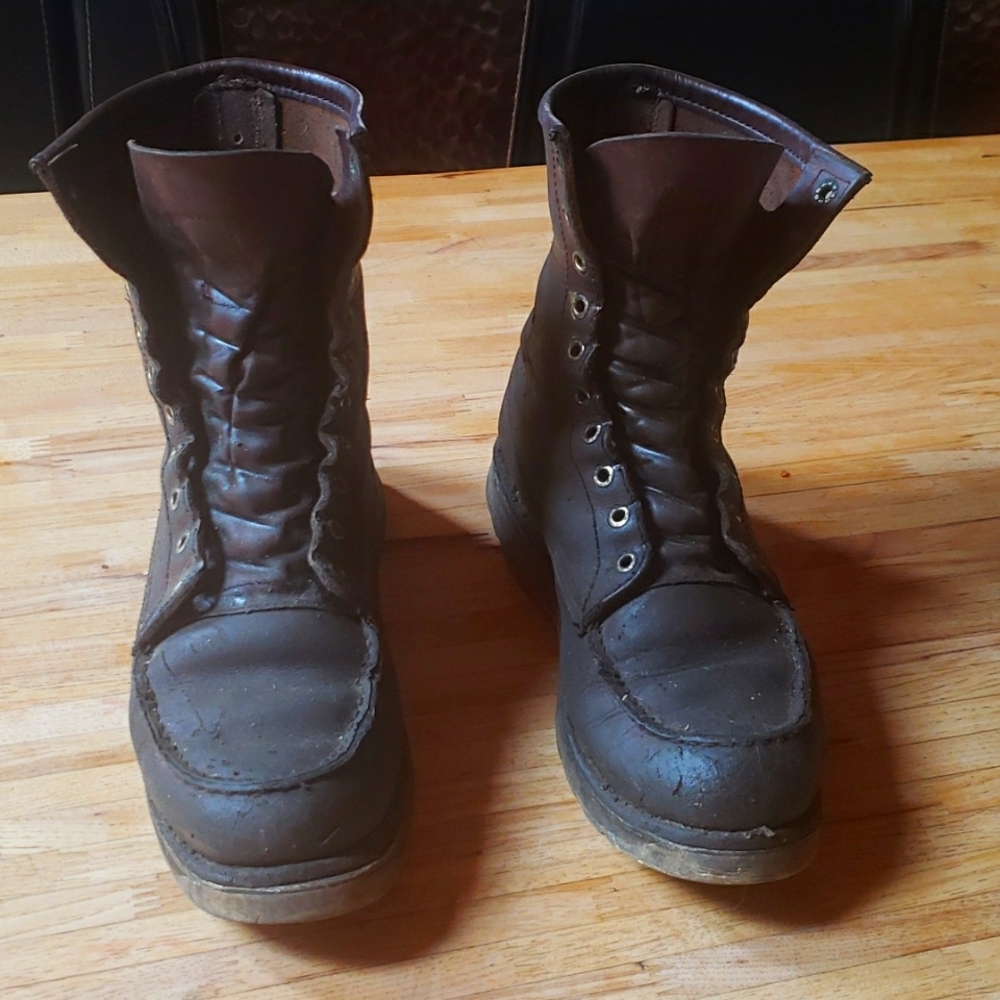 Redwing Irish setter